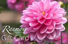 Load image into Gallery viewer, Gift Card £5
