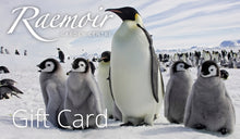 Load image into Gallery viewer, Gift Card £5
