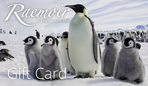 Gift Card £50