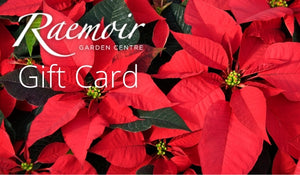 Gift Card £250