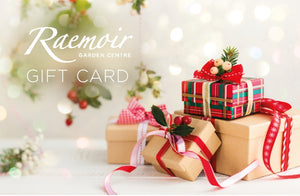 Gift Card £50