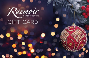 Gift Card £50