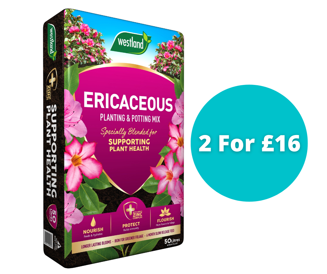 Ericaceous Planting & Potting Compost 50L - Bundle of 2 for £16