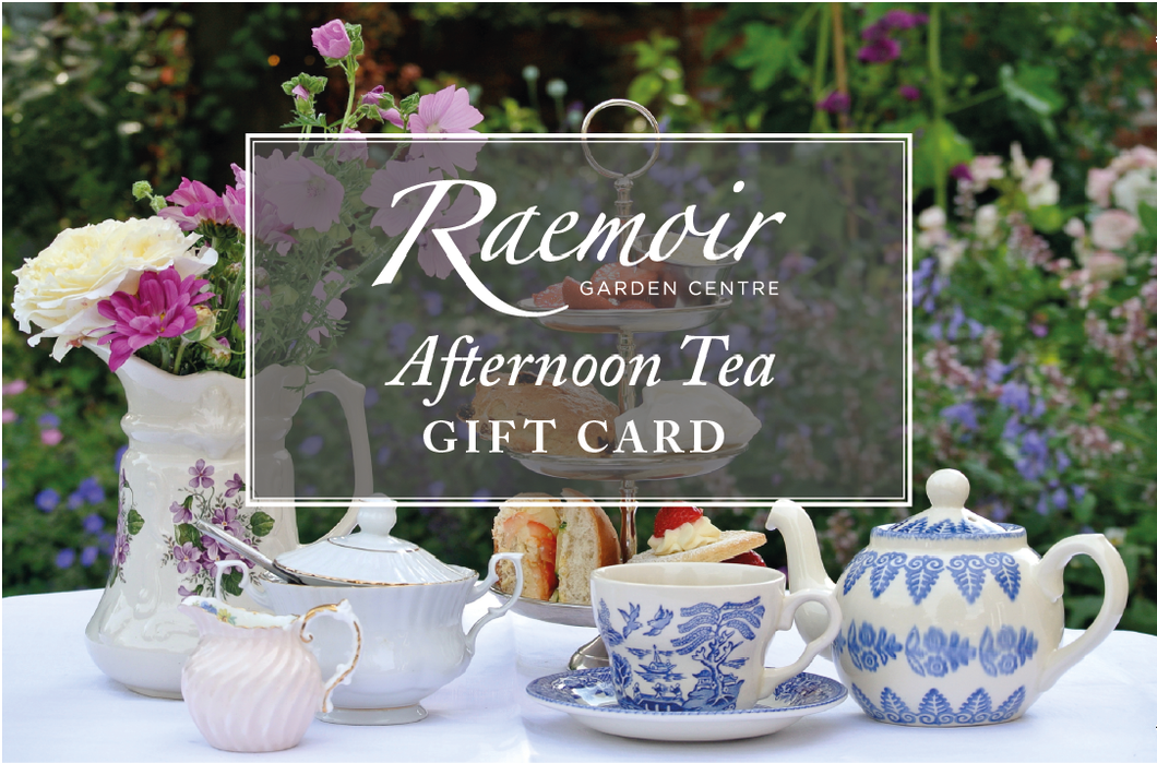 Gift Card for Afternoon Tea