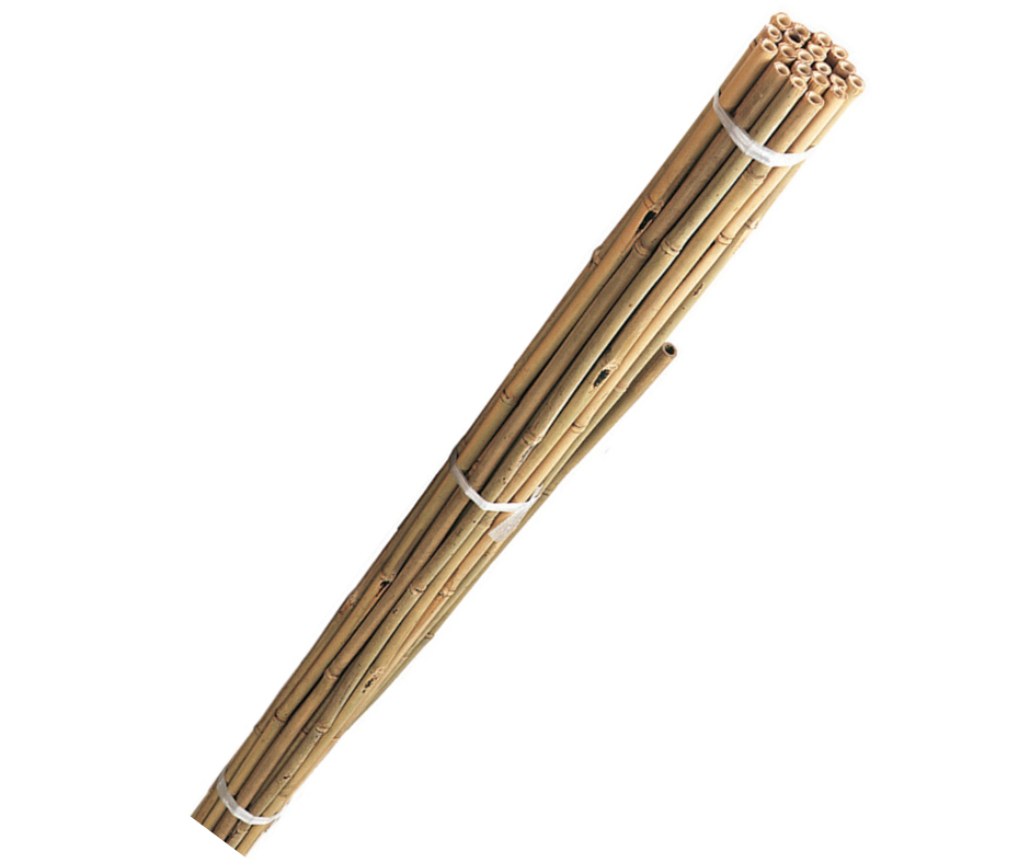 Bamboo Canes 150cm x 20