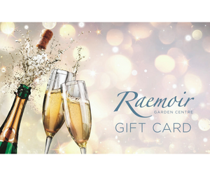 Gift Card £40