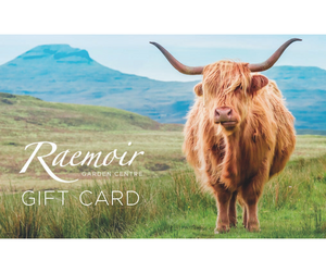 Gift Card £60